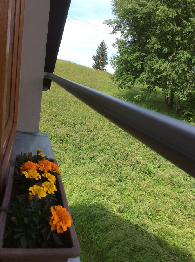 Apartman Odolov Jestrebi Hory Male Svatonovice 외부 사진